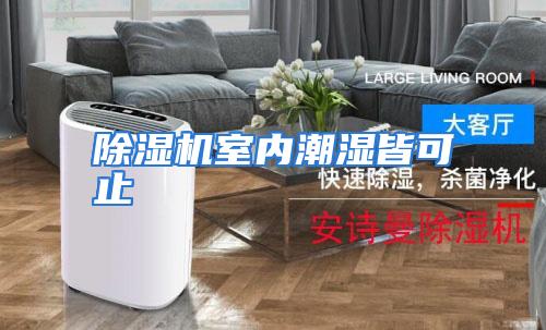 除湿机室内潮湿皆可止