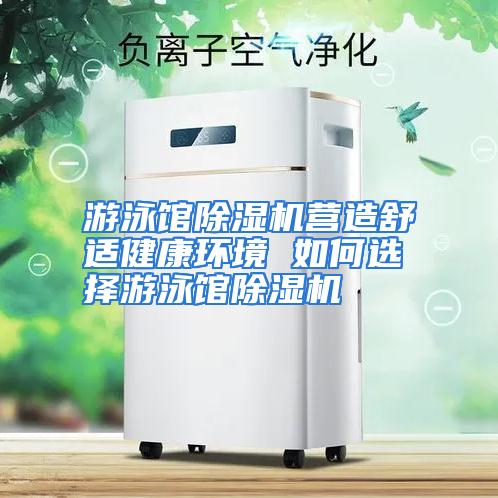 游泳馆除湿机营造舒适健康环境 如何选择游泳馆除湿机