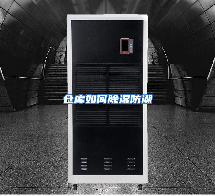 仓库如何除湿防潮