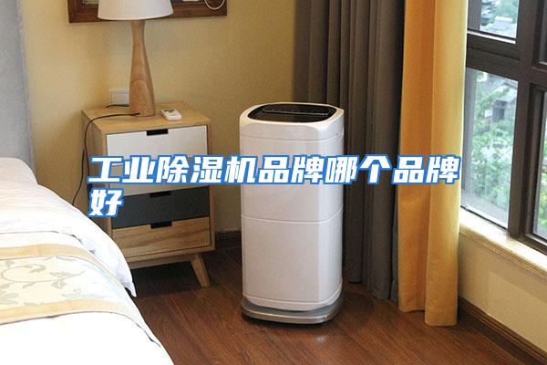 工业除湿机品牌哪个品牌好