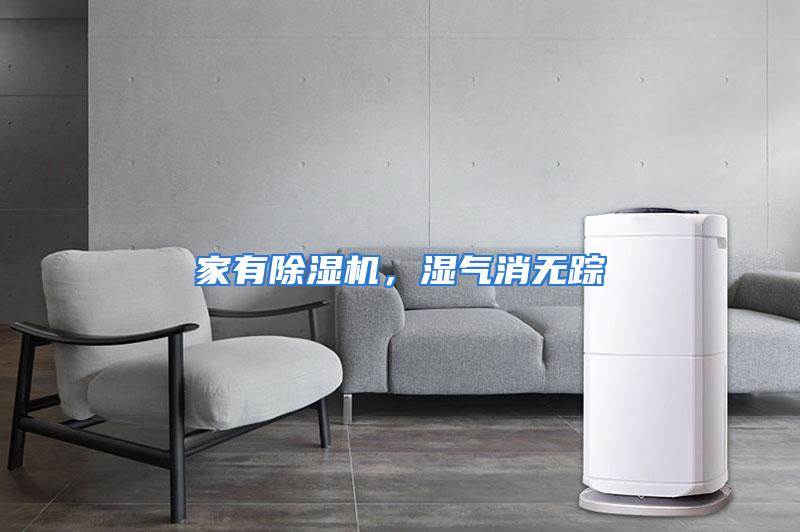 家有除湿机，湿气消无踪