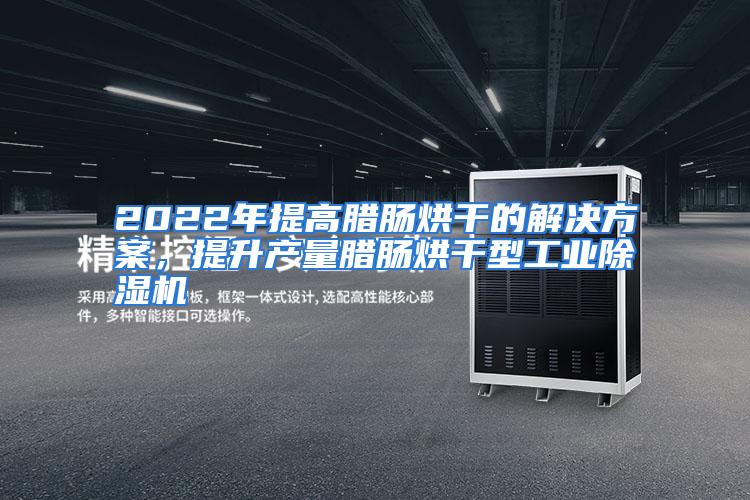 2022年提高腊肠烘干的解决方案,提升产量腊肠烘干型工业除湿机