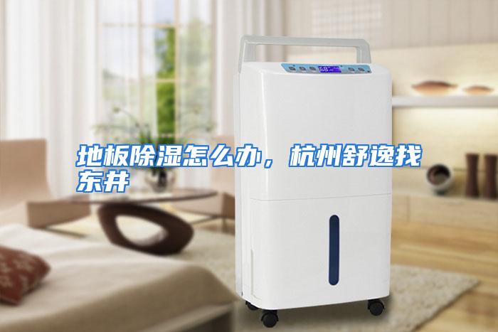 地板除湿怎么办，杭州舒逸找东井