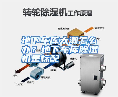地下车库太潮怎么办?地下车库除湿机是标配