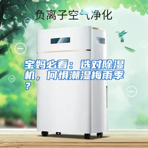 宝妈必看：选对除湿机，何惧潮湿梅雨季？