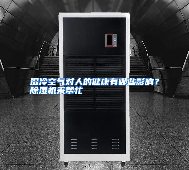 湿冷空气对人的健康有哪些影响？除湿机来帮忙