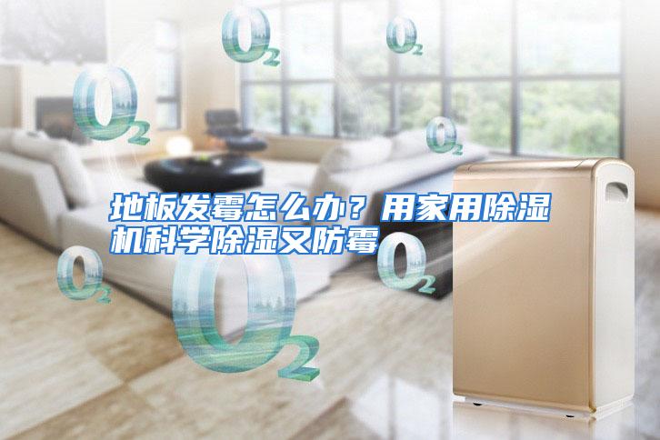 地板发霉怎么办?用家用除湿机科学除湿又防霉