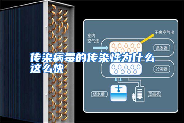 传染病毒的传染性为什么这么快