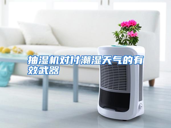 抽湿机对付潮湿天气的有效武器