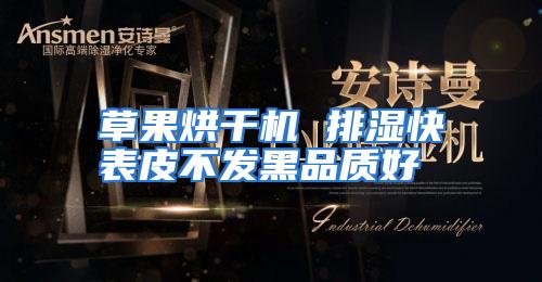 草果烘干机 排湿快表皮不发黑品质好