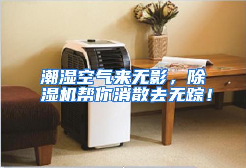 潮湿空气来无影，除湿机帮你消散去无踪！