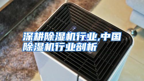 深耕除湿机行业,中国除湿机行业剖析
