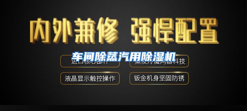 车间除蒸汽用除湿机