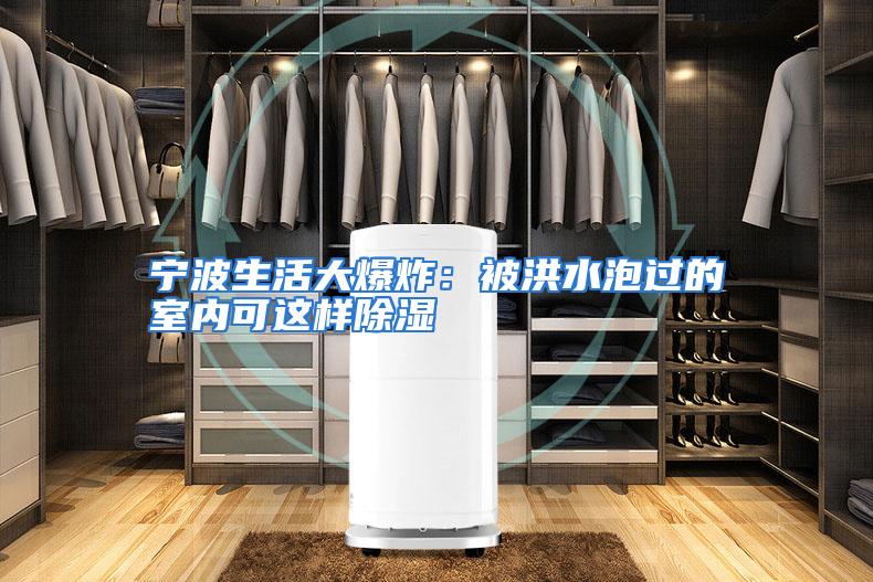 宁波生活大爆炸：被洪水泡过的室内可这样除湿