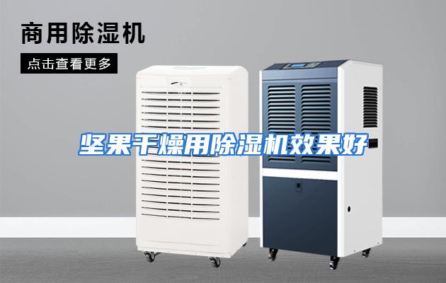 坚果干燥用除湿机效果好