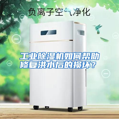 工业除湿机如何帮助修复洪水后的损坏?