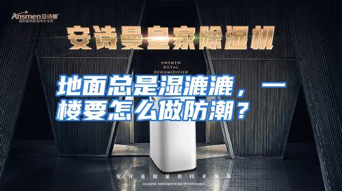 地面总是湿漉漉，一楼要怎么做防潮？