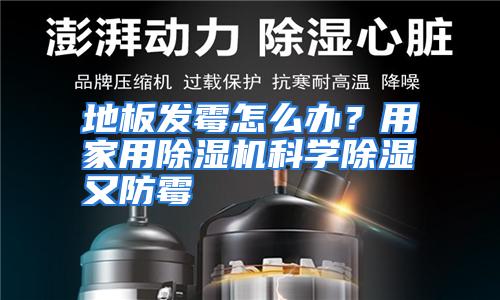 地板发霉怎么办?用家用除湿机科学除湿又防霉