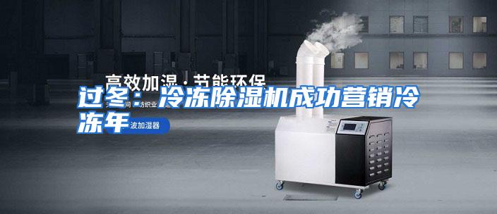过冬：冷冻除湿机成功营销冷冻年