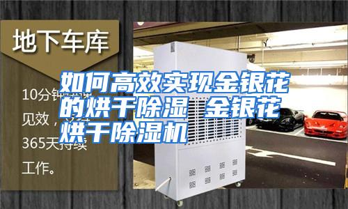 如何高效实现金银花的烘干除湿 金银花烘干除湿机