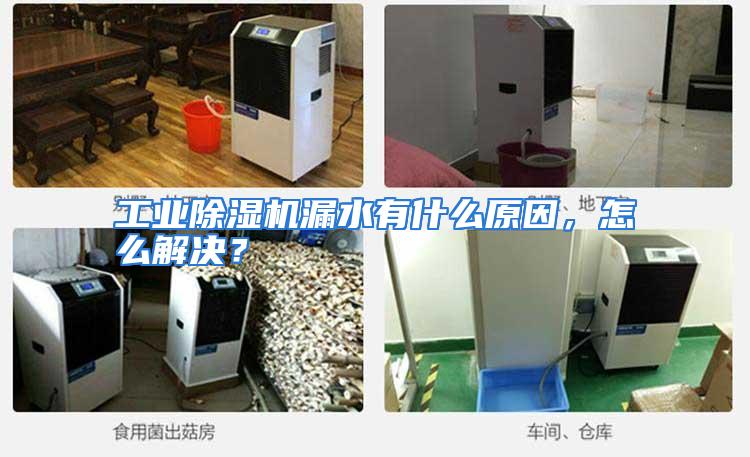 工业除湿机漏水有什么原因,怎么解决?