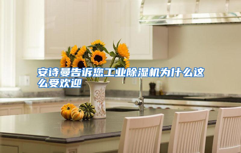 安诗曼告诉您工业除湿机为什么这么受欢迎