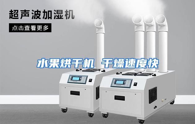 水果烘干机 干燥速度快