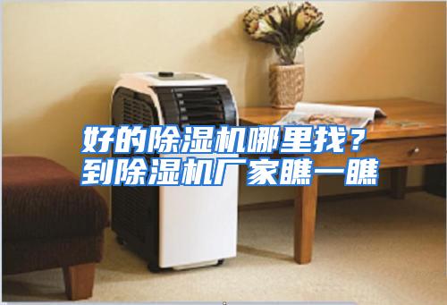 好的除湿机哪里找？到除湿机厂家瞧一瞧