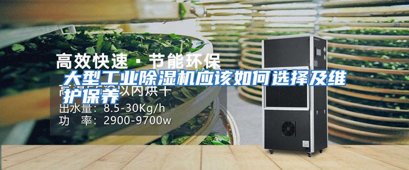 大型工业除湿机应该如何选择及维护保养