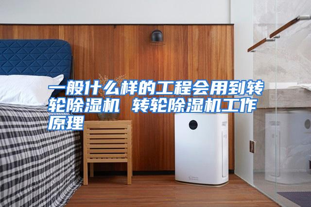 一般什么样的工程会用到转轮除湿机 转轮除湿机工作原理