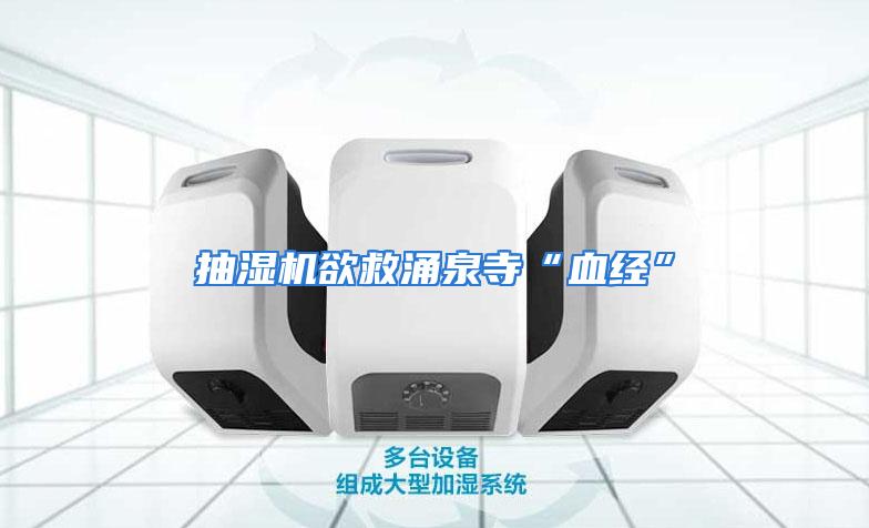 抽湿机欲救涌泉寺“血经”