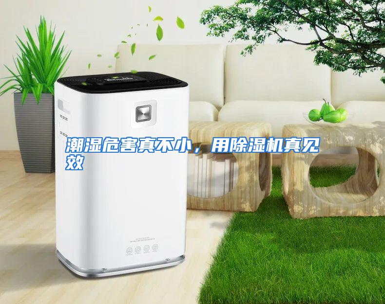 潮湿危害真不小，用除湿机真见效