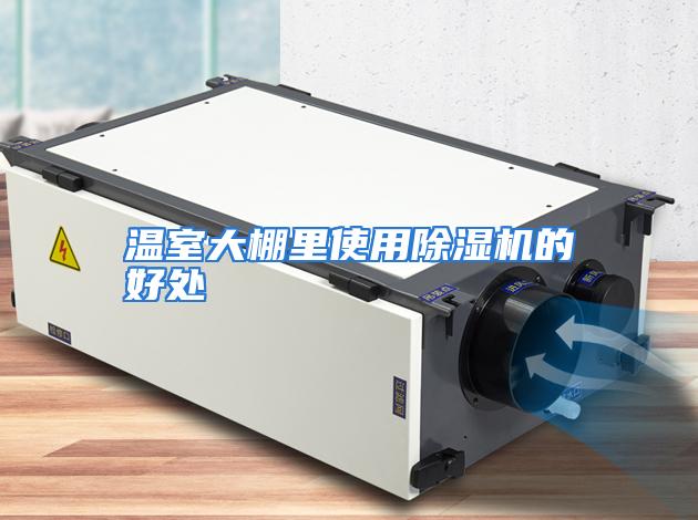 温室大棚里使用除湿机的好处