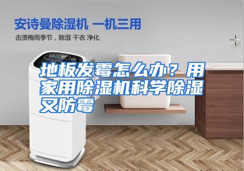 地板发霉怎么办？用家用除湿机科学除湿又防霉