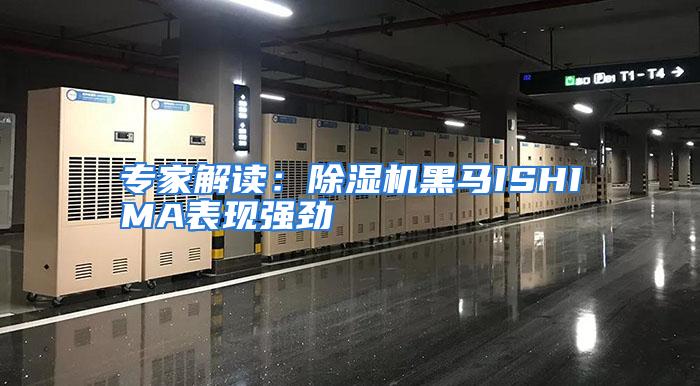 专家解读：除湿机黑马ISHIMA表现强劲