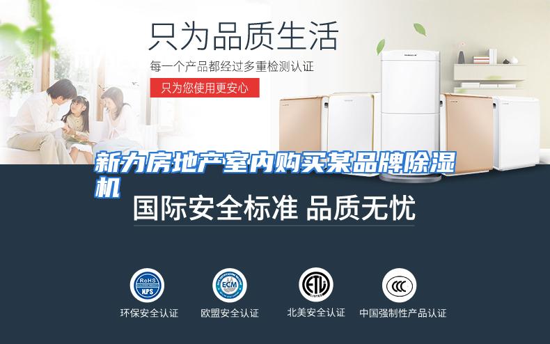 新力房地产室内购买某品牌除湿机