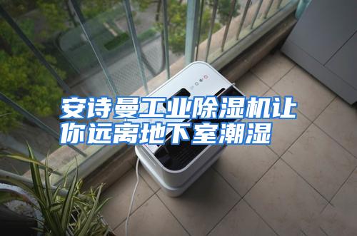 安诗曼工业除湿机让你远离地下室潮湿
