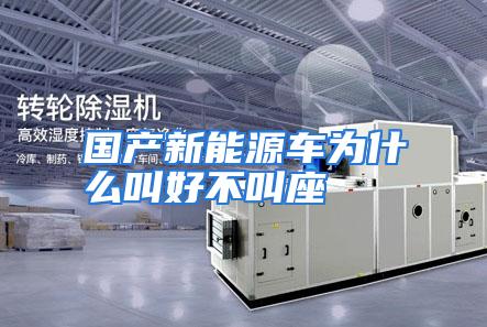 国产新能源车为什么叫好不叫座