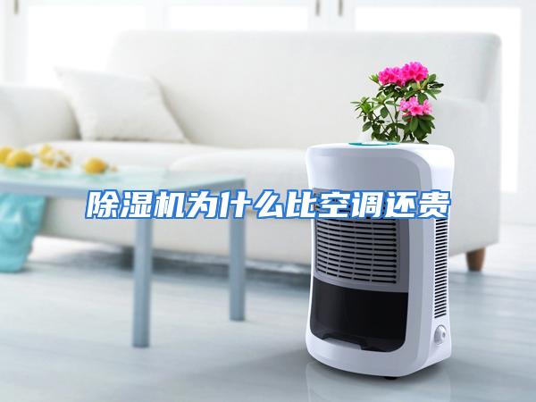 除湿机为什么比空调还贵