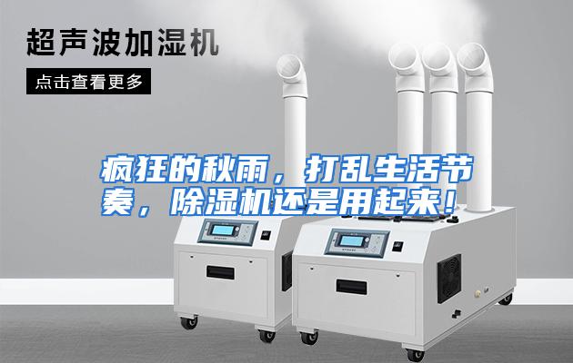 疯狂的秋雨，打乱生活节奏，除湿机还是用起来！