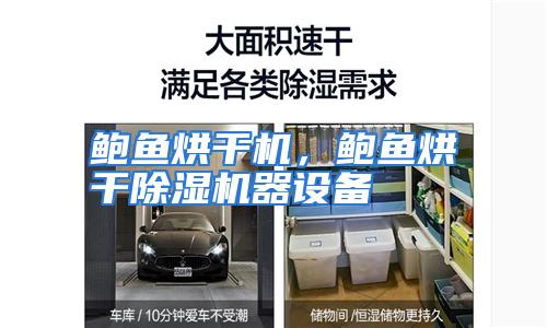 鲍鱼烘干机，鲍鱼烘干除湿机器设备