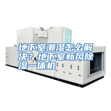地下室潮湿怎么解决?地下室新风除湿一体机