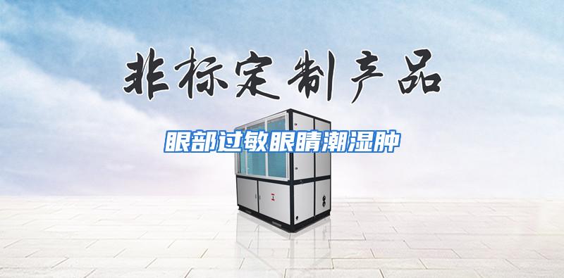 眼部过敏眼睛潮湿肿