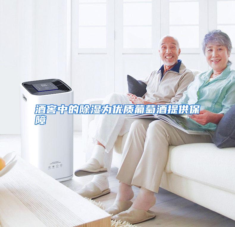 酒窖中的除湿为优质葡萄酒提供保障