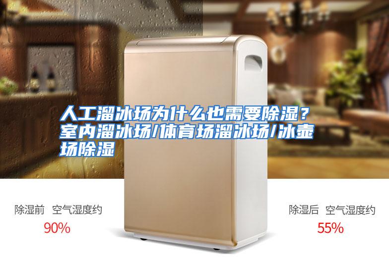 人工溜冰场为什么也需要除湿？ 室内溜冰场/体育场溜冰场/冰壶场除湿