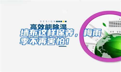 墙布这样保养，梅雨季不再害怕！