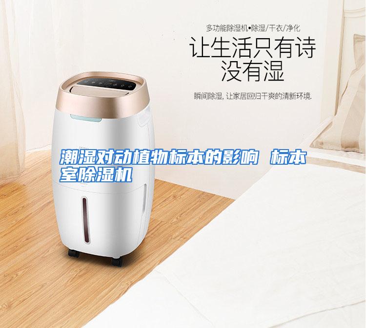 潮湿对动植物标本的影响 标本室除湿机