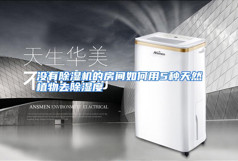 没有除湿机的房间如何用5种天然植物去除湿度