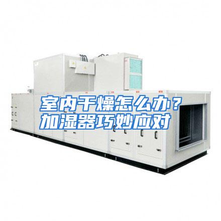 室内干燥怎么办?加湿器巧妙应对