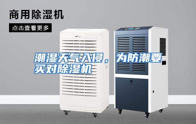 潮湿天气入侵，为防潮要买对除湿机
